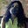 Kamya Vishwanath's avatar