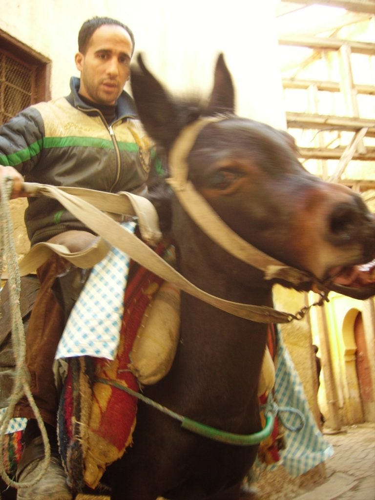 Fez Medina Fes Morocco Fez Medina Fes Morocco