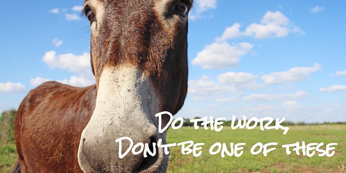 Donkey calmly looking at you with caption: do the work, don’t be one of these Donkey calmly looking at you with caption: do the work, don’t be one of these