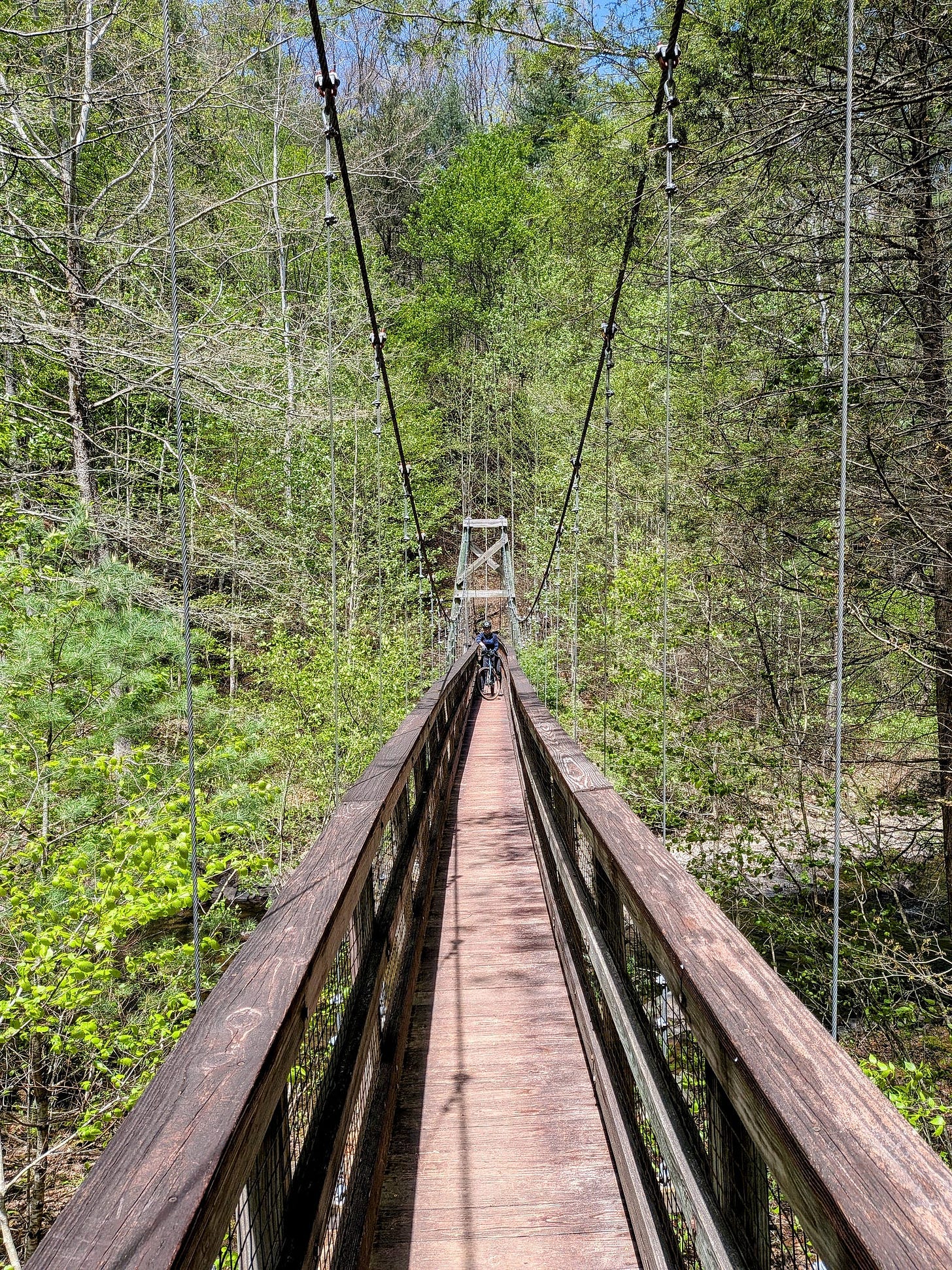 A narrow wooden suspension bridge stretches through dense forest, with cables rising overhead. The author’s wife stands midway across the bridge holding a bicycle, surrounded by green trees and a creek below. A narrow wooden suspension bridge stretches through dense forest, with cables rising overhead. The author’s wife stands midway across the bridge holding a bicycle, surrounded by green trees and a creek below.