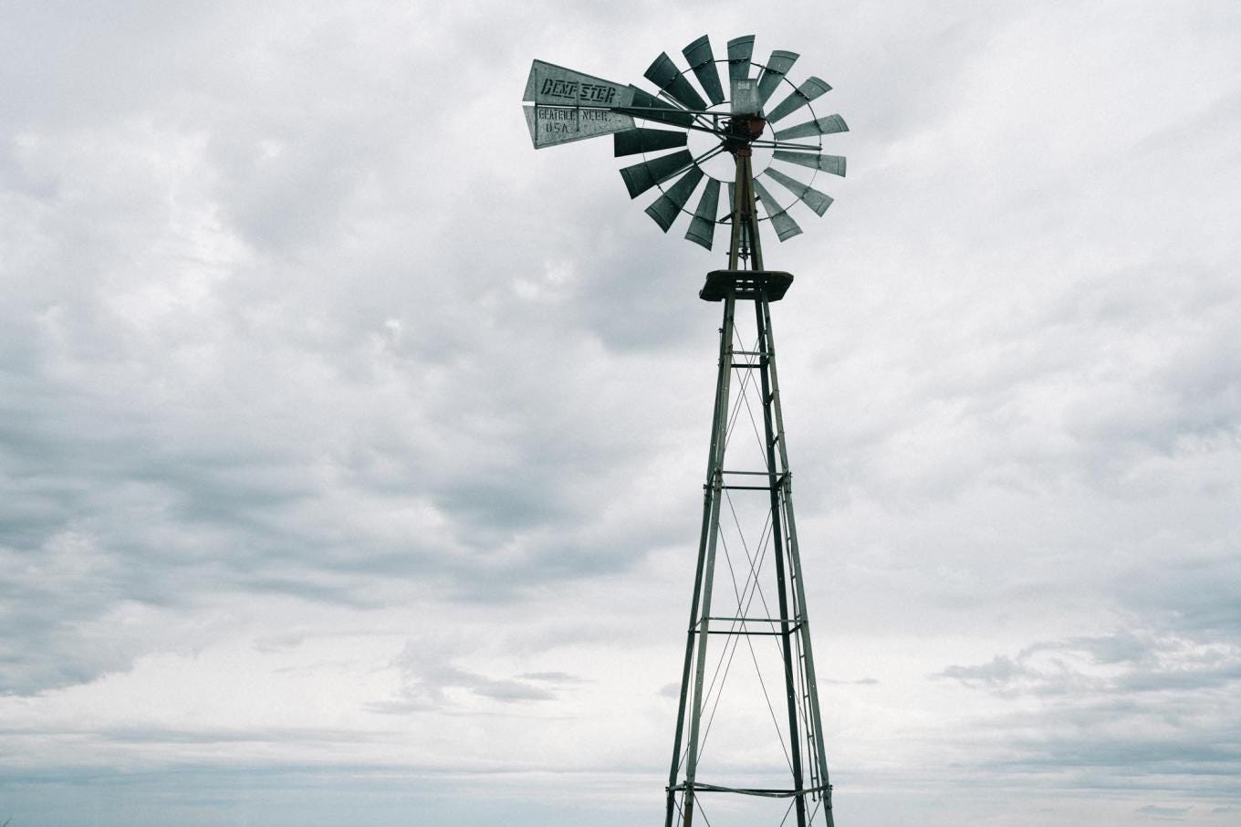 mad agriculture cavagnero 005
