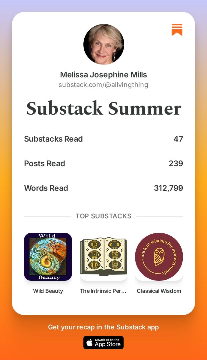 Substack Summer