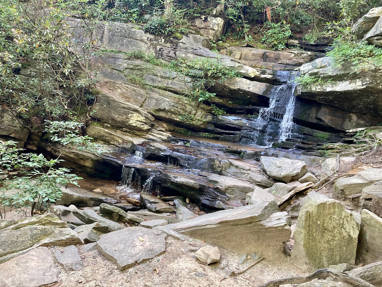 a short waterfall in the woods