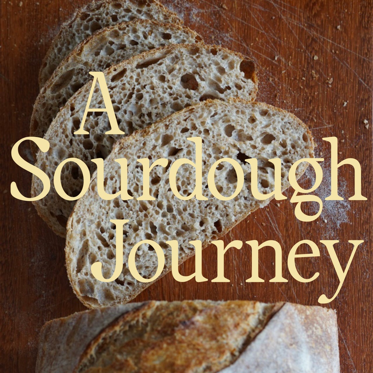 A Sourdough Journey by Alisa