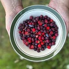 Picking Polyphenols