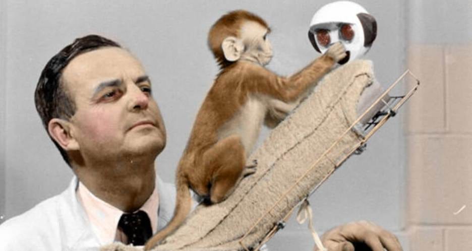 A person holding a monkey
AI-generated content may be incorrect. A person holding a monkey
AI-generated content may be incorrect.