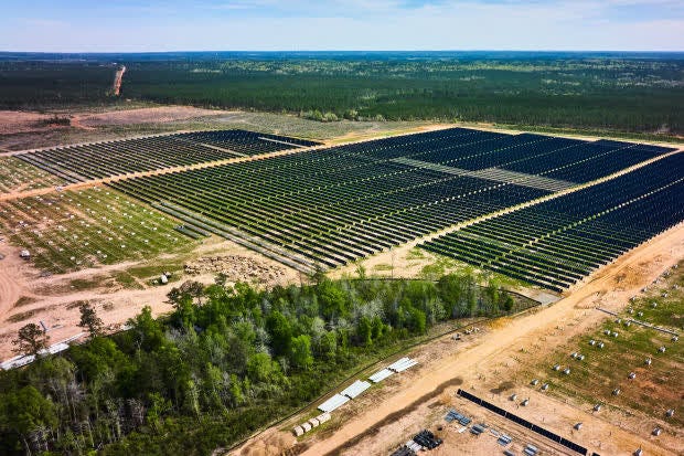Rayonier Asset Sale Pumps Stock, but Opens Debate Over Timberland Ownership
