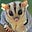 Profiterol909's avatar