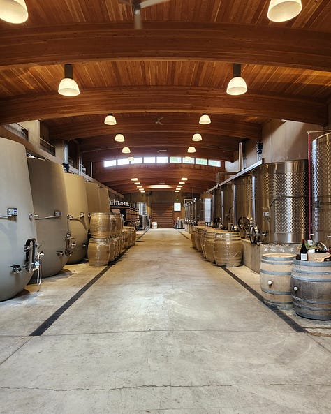 Luxury winery tour, beautiful cellar, vineyard soil, and Oregon wine country hospitality