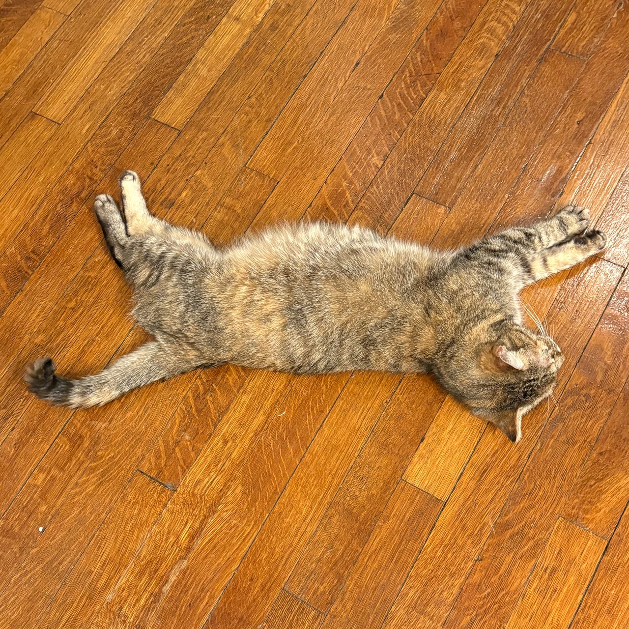 jill writes a letter