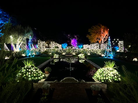 images of Christmas lights and lanterns including a tunnel of light and a tree of books