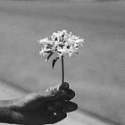 "at your leisure": moving at the pace of flourishing 