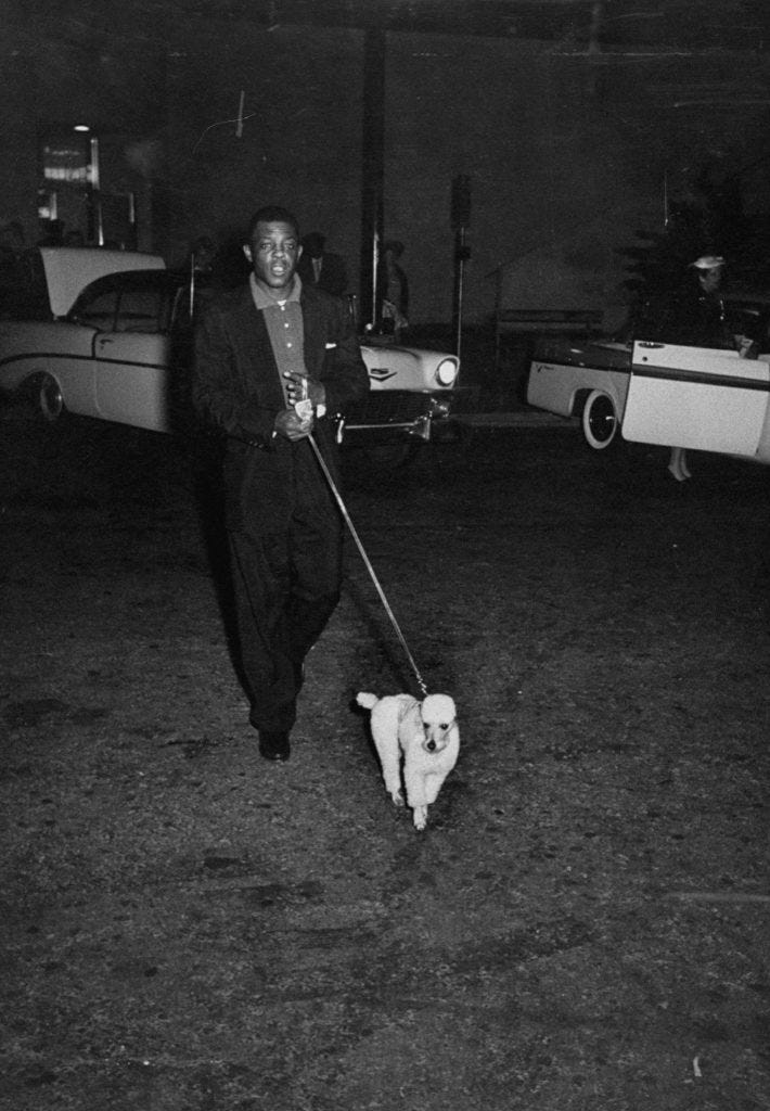 Celebrities and Dogs Celebrities and Dogs