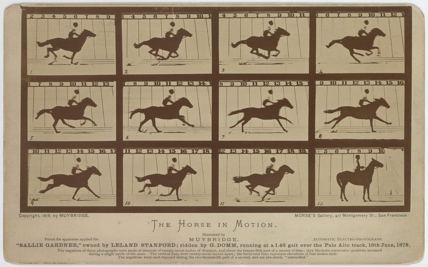 File:Eadweard Muybridge-Sallie Gardner 1878.jpg - Wikimedia Commons