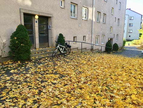Images of vibrantly-colored autumn leaves in Oslo.