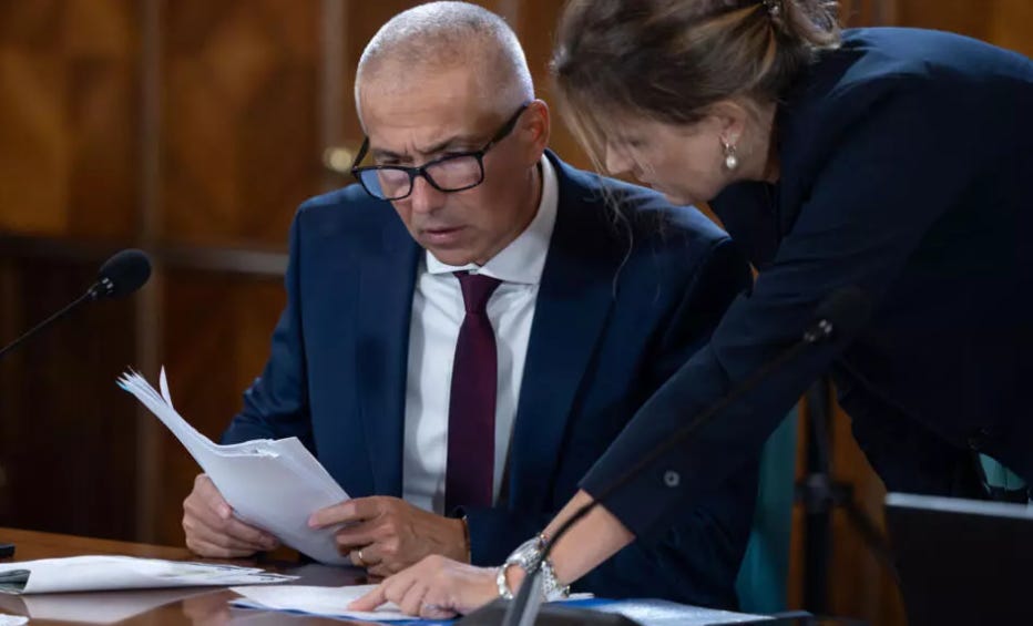 radu marinescu plagiat