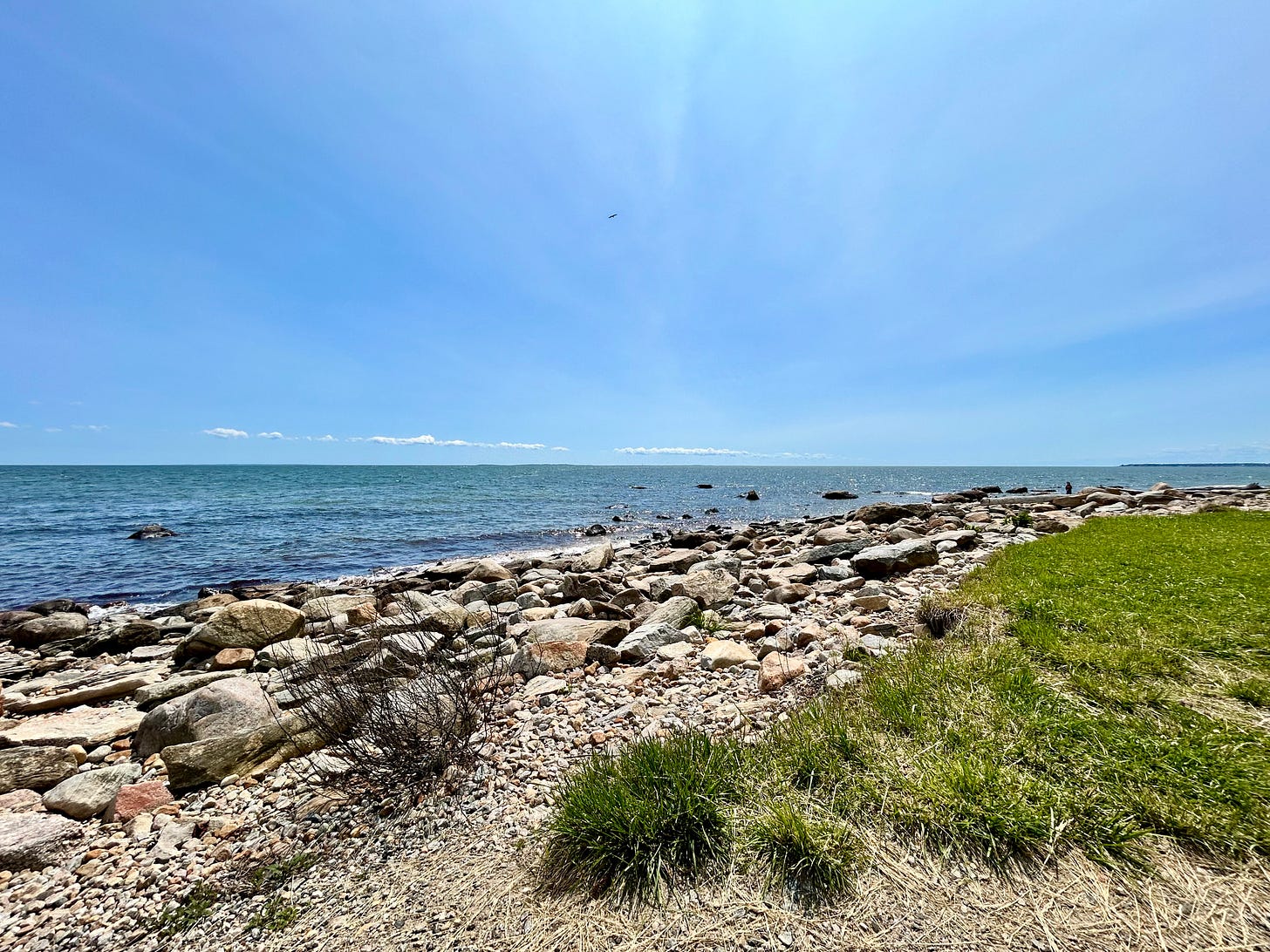 rocks, coast, water, ocean, grass, sky