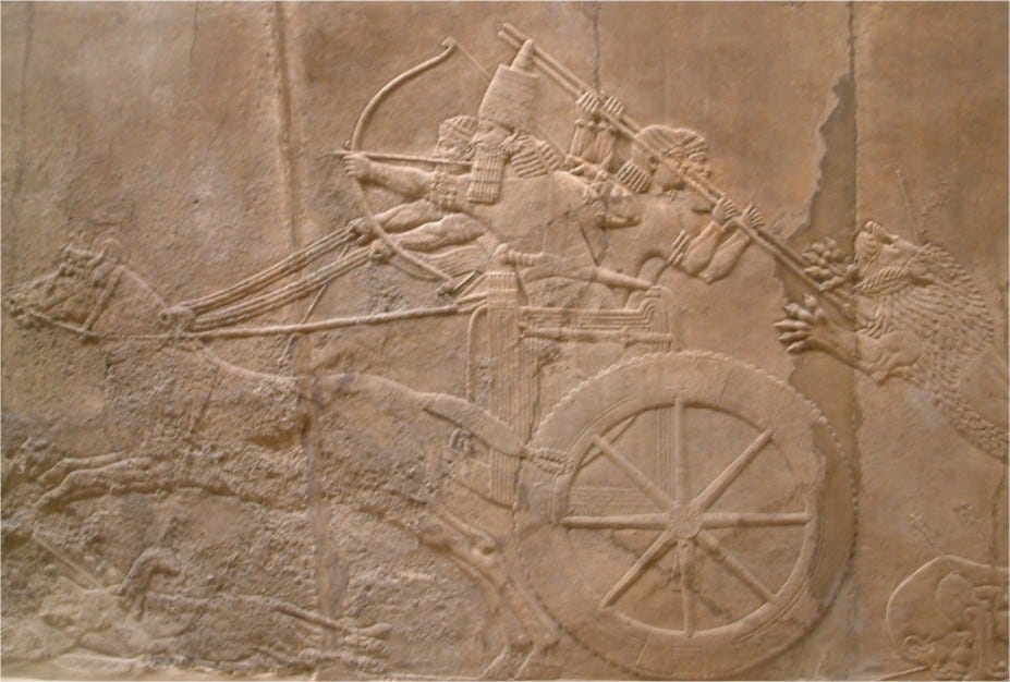 Relief of Ashurbanipal hunting a Mesopotamian lion,[27] from the Northern Palace in Nineveh, as seen at the British Museum