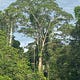 Teaching in the Amazon