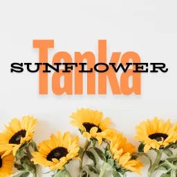 Sunflower Tanka Anthology