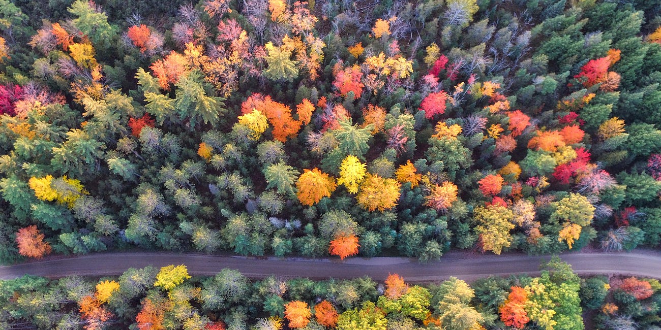 Seasonal Living: Fall 