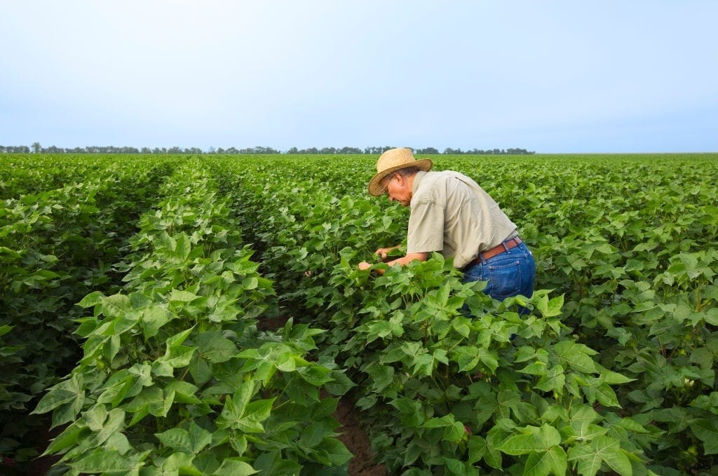 Can President Trump Help US Farmers With Tariff Proceeds?