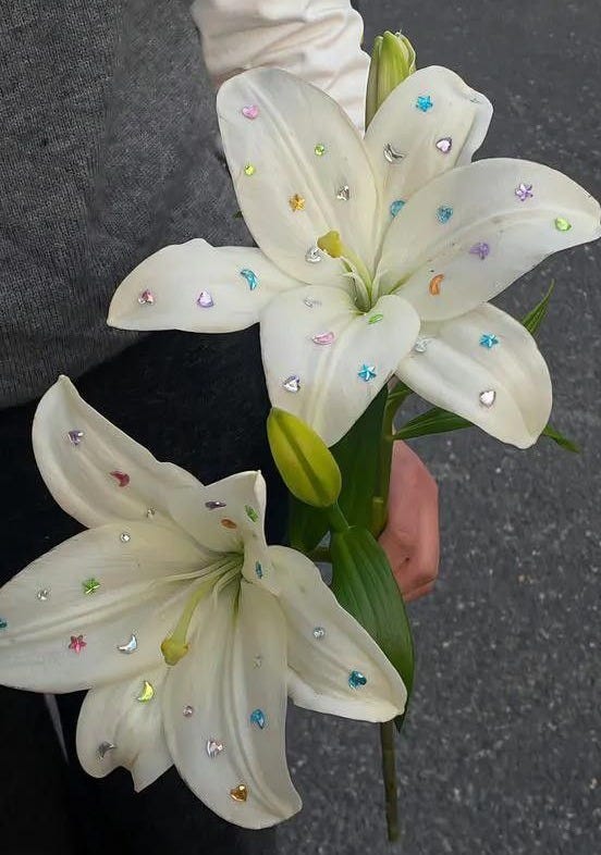 Story pin image Story pin image