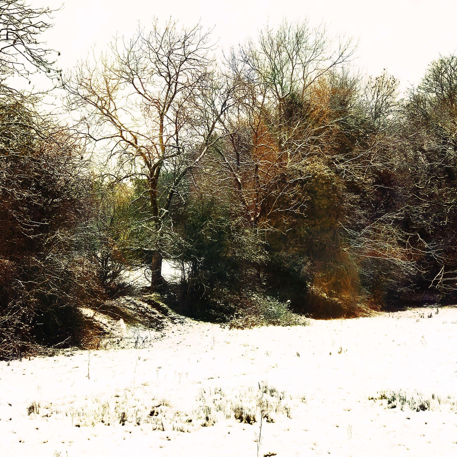 20201231-1149_10 Abney Hall Park.jpg