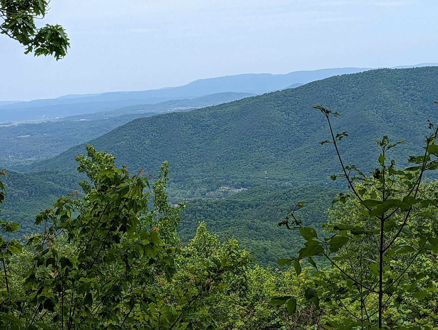 Kate's Mountain Naturalist with Numbers