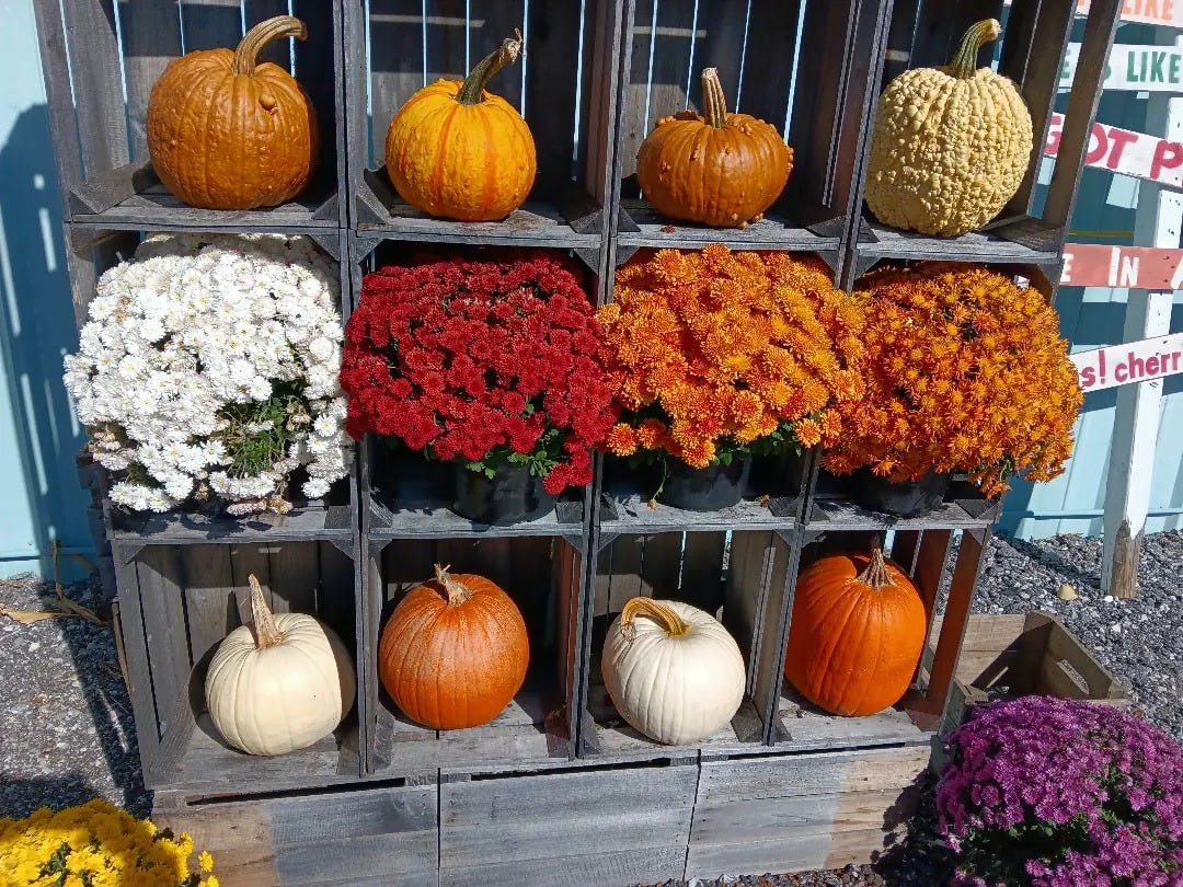 No photo description available.