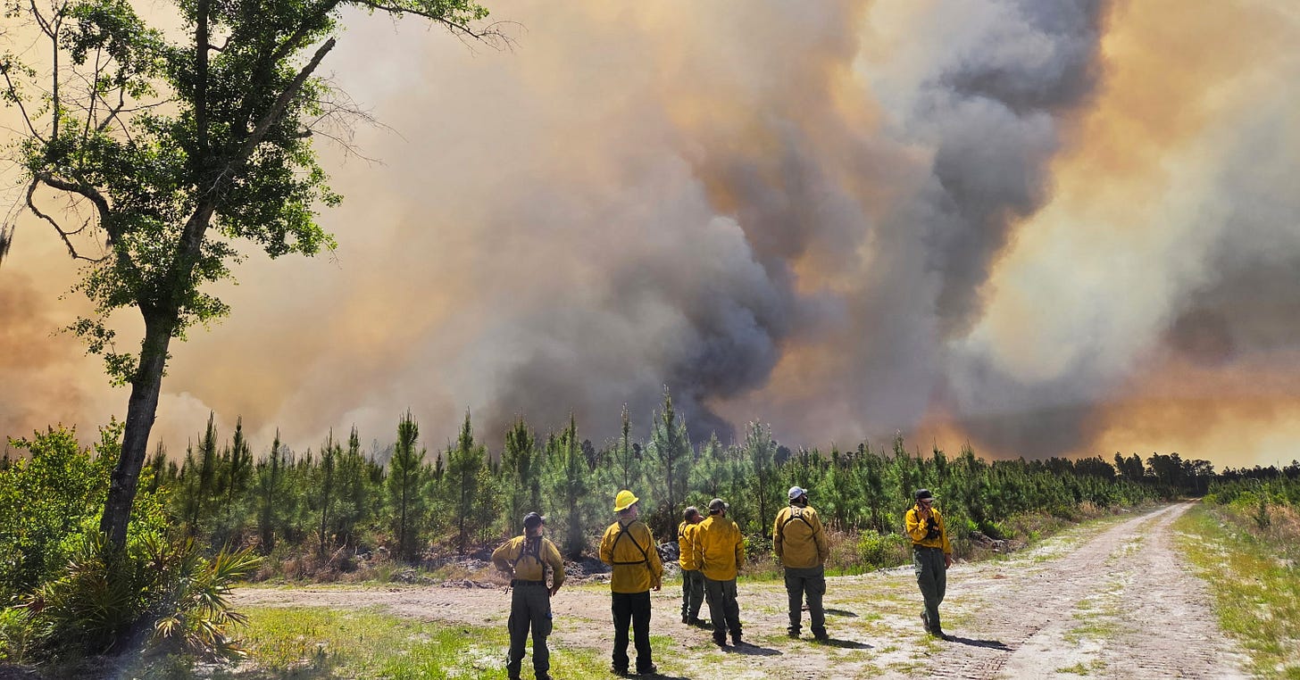 Wildfires across Georgia and Florida destroy more than 50 homes and force  evacuations