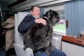 Presidential Pets | Ronald Reagan