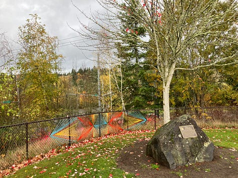 Images of Cedar Mills trail, waterfall, trees, and bridges