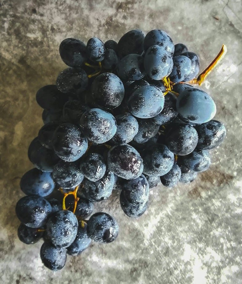 blue berries on gray concrete floor blue berries on gray concrete floor
