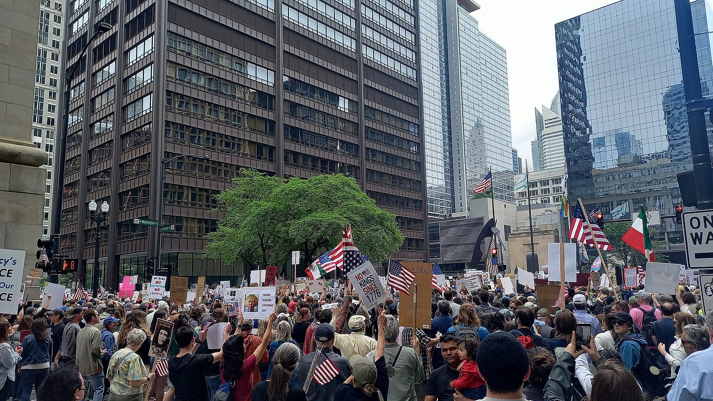 protestors with signs and flags in downtown chicago protestors with signs and flags in downtown chicago