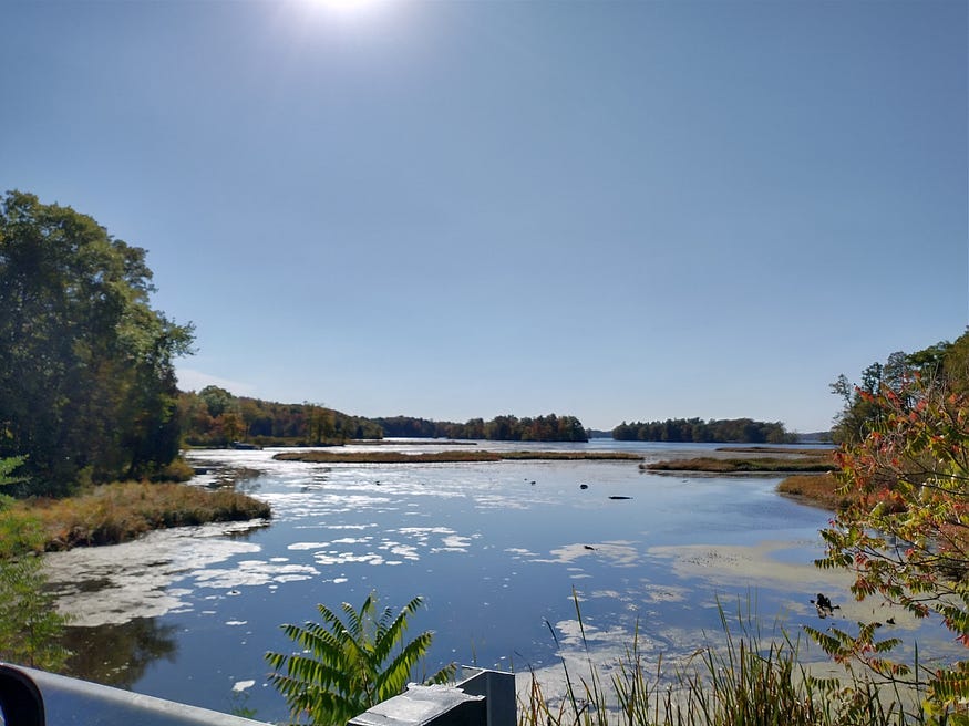 Sydenham Lake, looking west from Wilmer Road, blue skies and fall colours, and small islands in the distance.