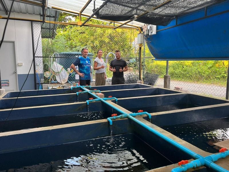 No alternative text description for this image No alternative text description for this image