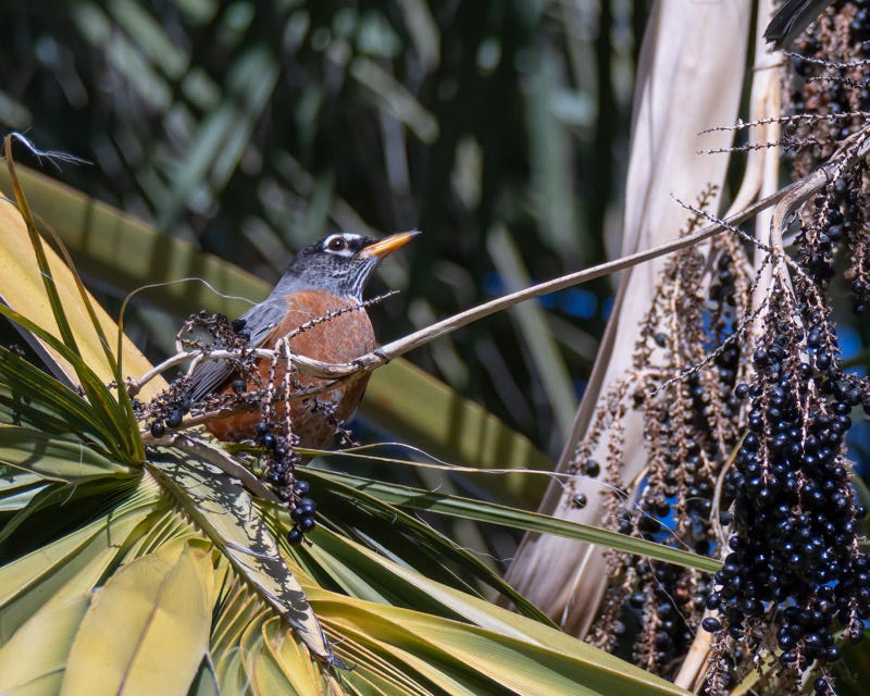 230104-misc-145-Edit.jpg 230104-misc-145-Edit.jpg