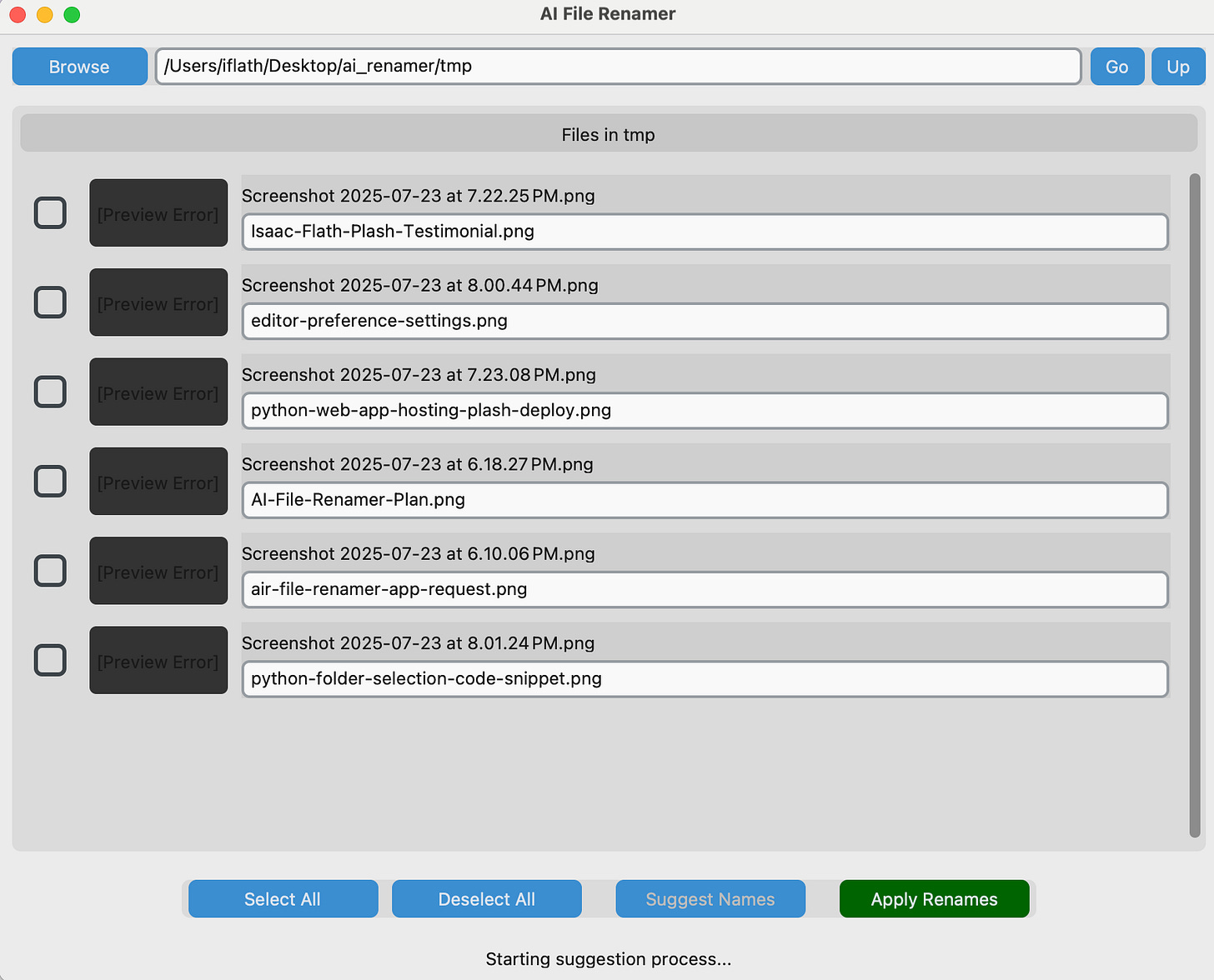 The AI-generated file renamer application The AI-generated file renamer application