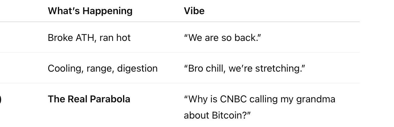 🎢 Bitcoin: The “Calm Down, We’re Still Early” Market Update