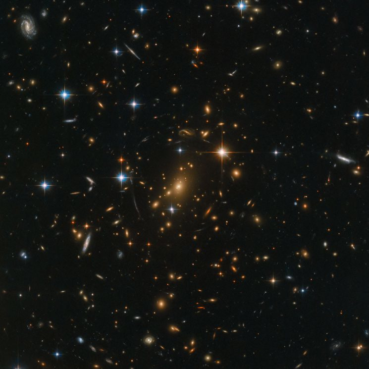 Birbantum’s Substack