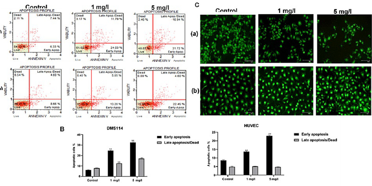 A klór-dioxid rákellenes potenciálja a kissejtes tüdőráksejtekre (in vitro)