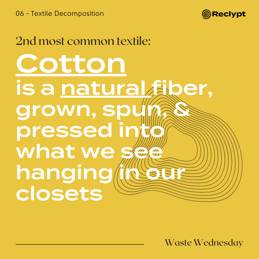 How Long do Clothes Rot in Landfills?