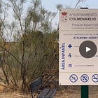 Parque Espernadilla: abandono total
