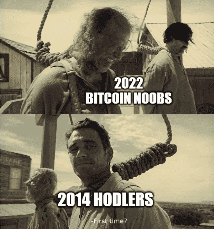 May be an image of ‎4 people and ‎text that says '‎2022 BITCOIN NOOBS ชื่อ ي 2014 HODLERS -First -Firsttime? time?‎'‎‎