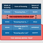 The Seeing-Being Trap