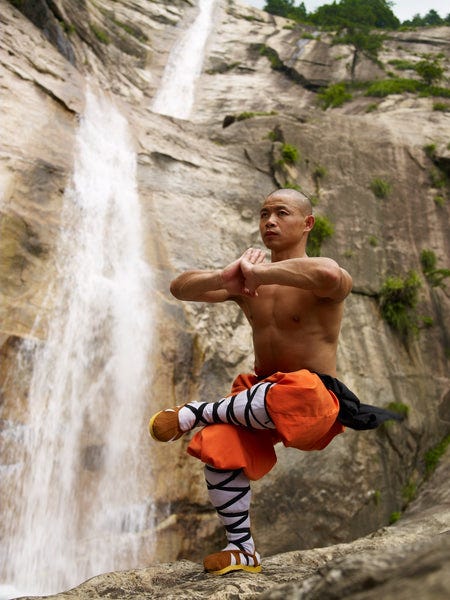 Shaolin Heroes – 20 Day Workout – Shifu Yan Lei