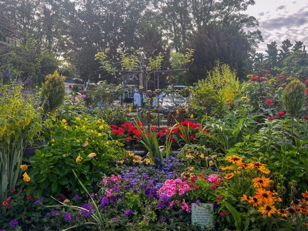 Community-Garden-in-The-Fan-by-R-Anthony-Harris_RVA-Magazine-2025