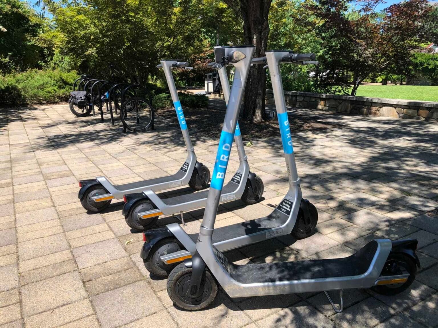 Beryl Debuts New Connected Pedal Bike - by Riya Das