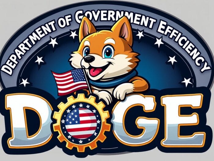 What would DOGE find inside the Malaysian government?